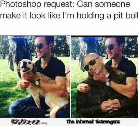 Can someone make me look like I'm holding a pittbull funny photoshop meme @PMSLweb.com