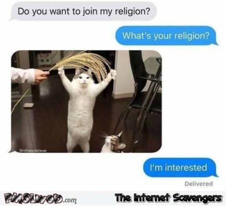 Do you want to join my religion funny cat text message @PMSLweb.com