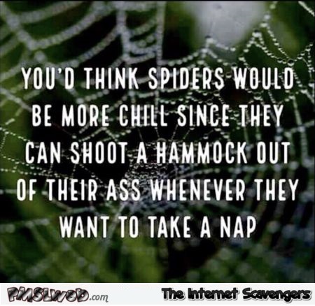 You'd think spiders would be more chill funny sarcastic quote @PMSLweb.com