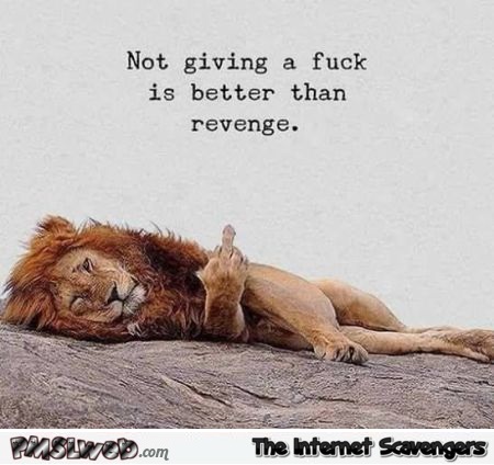 Not giving a fuck is better than revenge sarcasctic humor @PMSLweb.com