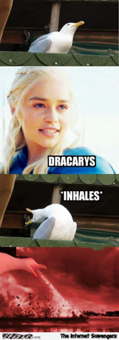 Seagull inhales funny Game of Thrones meme