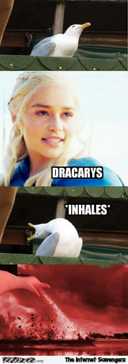 Seagul inhales funny Game of Thrones meme @PMSLweb.com