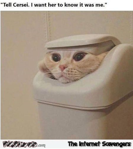 Tell Cersei I want her to know it was me funny cat meme
