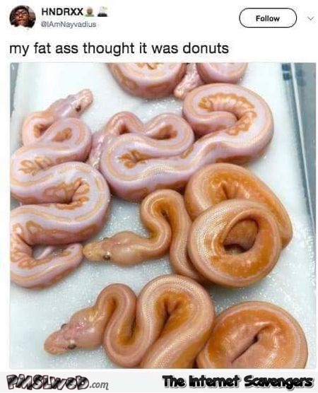 My fat ass thought these were donuts funny tweet @PMSLweb.com