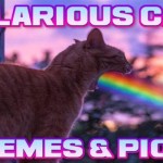 Hilarious cat memes and pics @PMSLweb.com