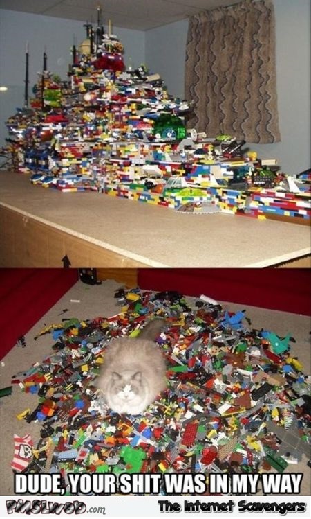 Cat destroys lego construction funny meme @PMSLweb.com