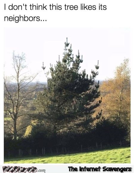 This tree doesn't like its neighbors funny sarcastic meme @PMSLweb.com