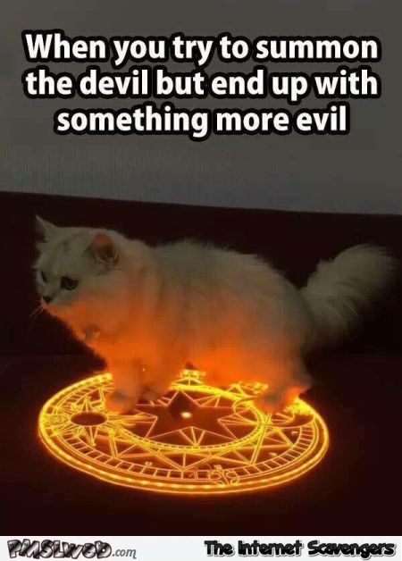 When you summon the devil cat meme @PMSLweb.com
