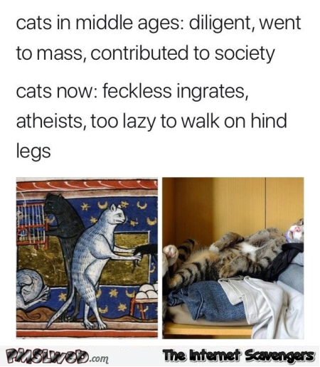 Cats in middle ages versus now funny meme @PMSLweb.com