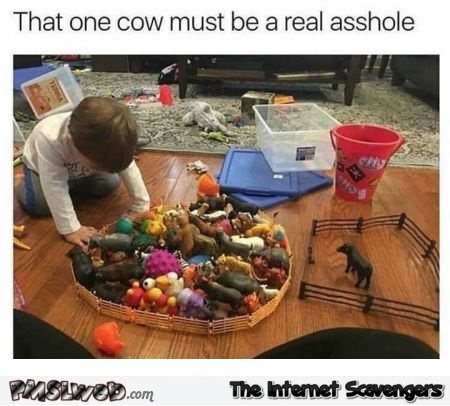 That one cow must be a real asshole funny meme @PMSLweb.com