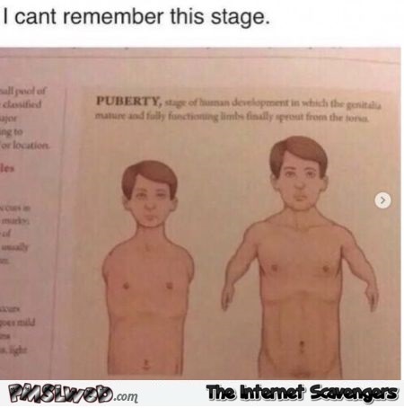 I can't remember this stage of puberty funny meme @PMSLweb.com