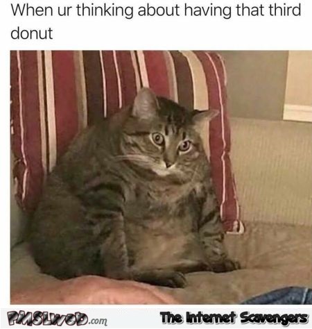 When you're thinking about having that 3rd donut funny meme @PMSLweb.com
