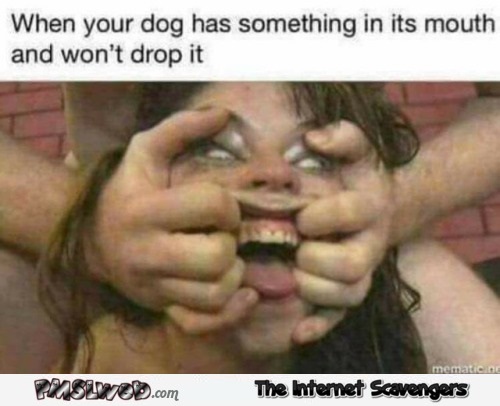 When your dog has something in his mouth and won't drop it funny adult meme @PMSLweb.com