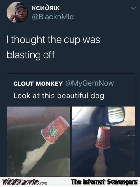 I thought the cup was blasting off funny comment - LMAO memes and pics @PMSLweb.com