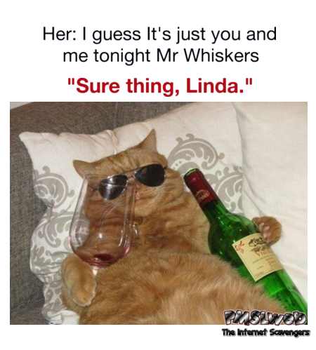 Spending the evening alone with my cat funny meme @PMSLweb.com