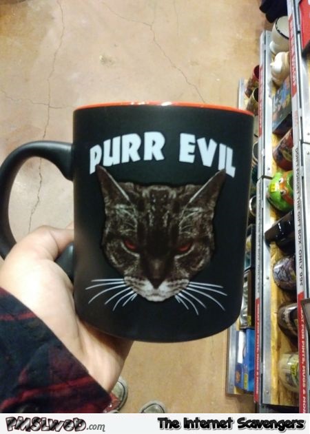 Funny purr evil mug cat humor @PMSLweb.com