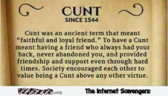The real definition of cunt sarcastic humor @PMSLweb.com