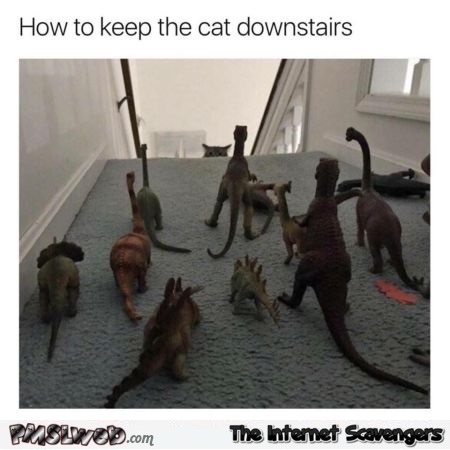 How to keep the cat downstairs funny meme @PMSLweb.com