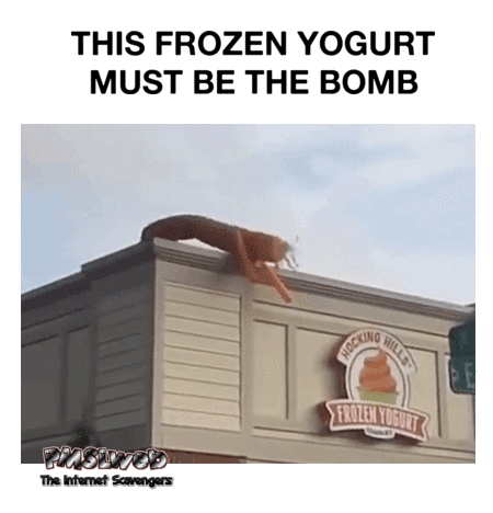 This frozen yogurt must be the bomb funny gif @PMSLweb.com