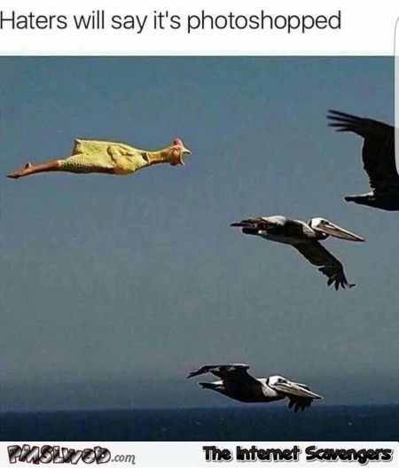 Flying poultry haters will say it's photoshopped funny meme @PMSLweb.com
