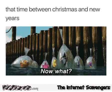 That time between  Christmas and the New Year funny meme - Funny New Year memes and pics @PMSLweb.com