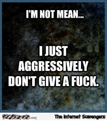 I'm not mean sarcastic meme - Funny sarcastic nonsense @PMSLweb.com