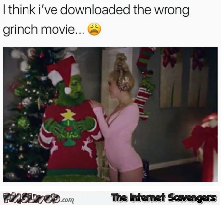 I downloaded the wrong grinch movie funny adult Christmas meme @PMSLweb.com