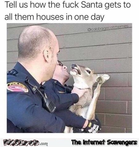 Cops arresting a deer funny Christmas meme - Funny Christmas memes and pictures @PMSLweb.com