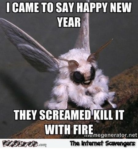 I came to say Happy New year funny meme @PMSLweb.com