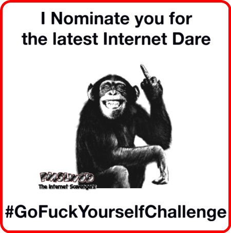  Go fuck yourself challenge funny sarcastic meme @PMSLweb.com