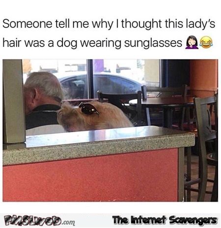 This lady's hair looks like a dog wearing sunglasses funny meme @PMSLweb.com