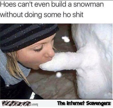 Hoes can't even build a snowman without doing ho shit adult meme @PMSLweb.com