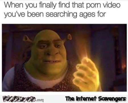 When you finally find that porn video funny adult meme @PMSLweb.com