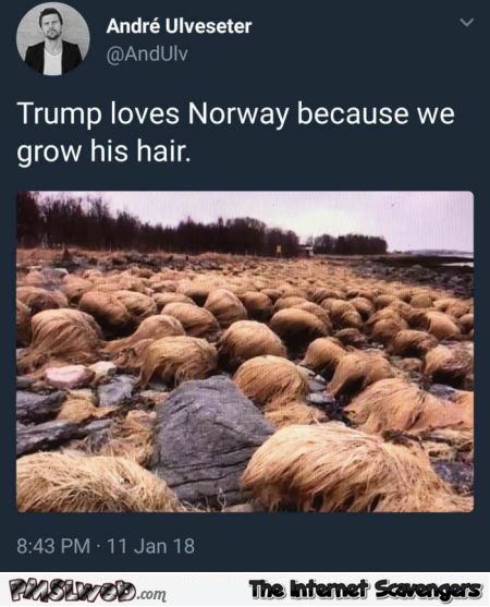 Why Trump loves Norway funny meme - Random memes and funnies @PMSLweb.com