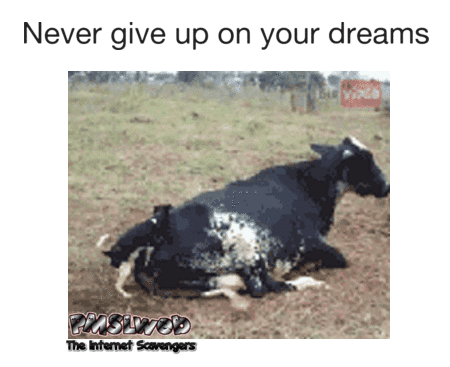 Never give up on your dreams funny gif @PMSLweb.com