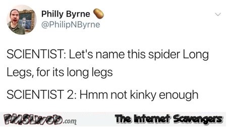 Let's name this spider long legs funny tweet - Funny social media posts and comments @PMSLweb.com