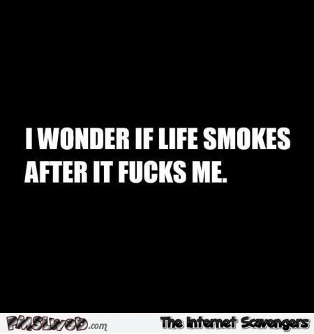 I wonder if life smokes after it fucks me sarcastic humor @PMSLweb.com