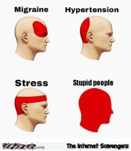 Stupid people the ultimate headache sarcastic meme