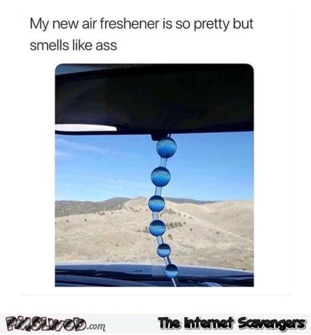 My air freshener is pretty but smells like ass funny meme @PMSLweb.com