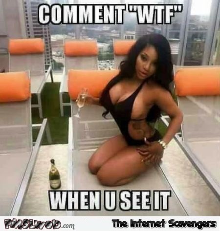 Comment WTF when you see it funny meme @PMSLweb.com