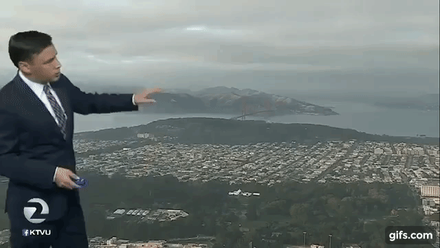 Bird appears on weather webcam funny gif - LMAO memes and pics @PMSLweb.com