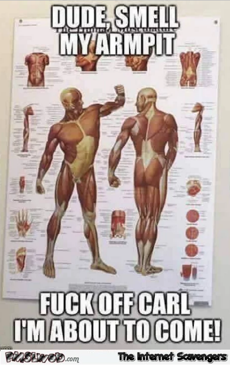 Funny anatomy poster meme @PMSLweb.com