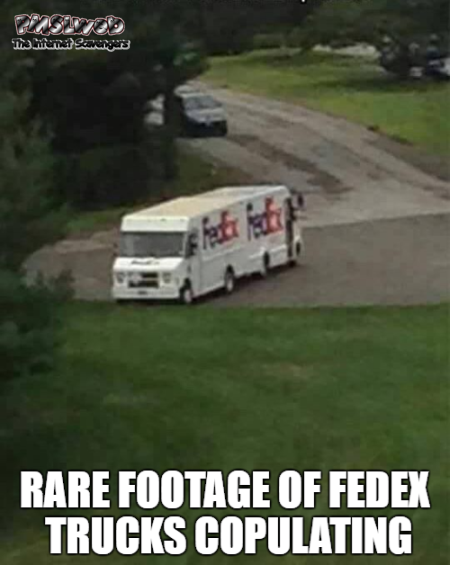 Rare footage of FedEx trucks copulating funny meme @PMSLweb.com