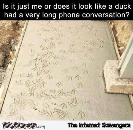 Did this duck have a very long phone conversation funny meme @PMSLweb.com
