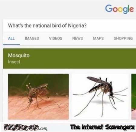 Funny national bird of Nigeria Google search result - Hilarious picture dump @PMSLweb.com