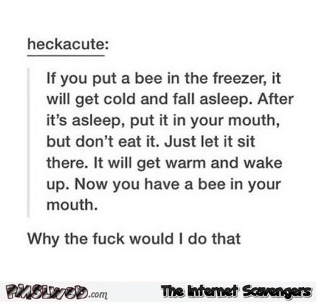 If you put a bee in a freezer it will fall asleep funny comment @PMSLweb.com