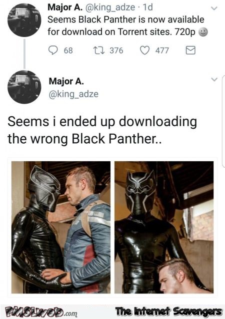 I downloaded the wrong Black Panther adult humor | PMSLweb