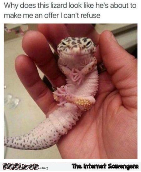 Lizard is going to make me an offer funny meme @PMSLweb.com