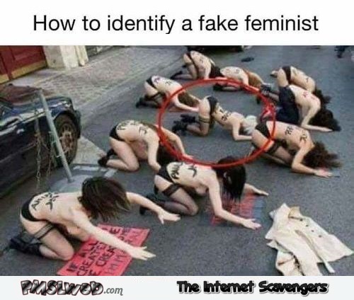 How to identify a fake feminist funny adult meme - Funny NSFW pictures @PMSLweb.com