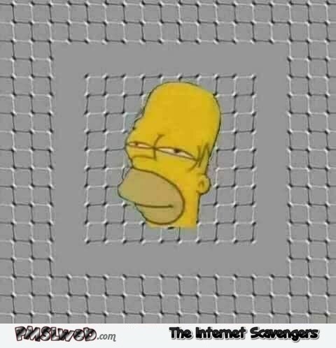 Funny Homer Simpson optical illusion - Daily memes and funny pics @PMSLweb.com
